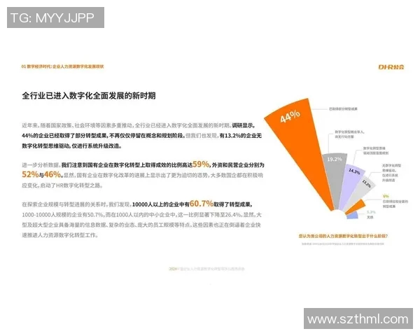 互联网时代下数字化转型推动企业创新与社会发展的新机遇与挑战分析