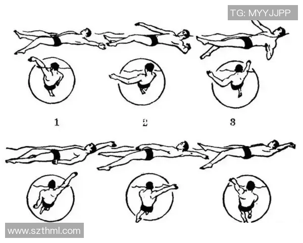 自由泳技巧全解析从入水到出水的正确动作与训练方法
